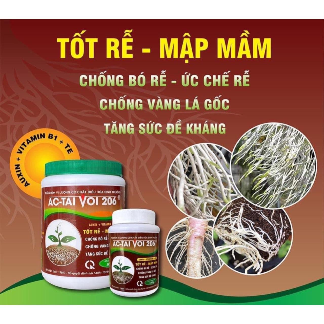 Phân Bón Kích rễ AC-TAI VOI 206 Tốt Rễ Mập Mầm 3
