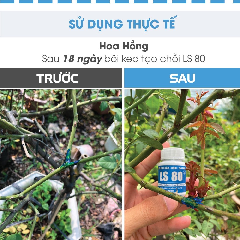 Kích Chồi LS80 30gam 2