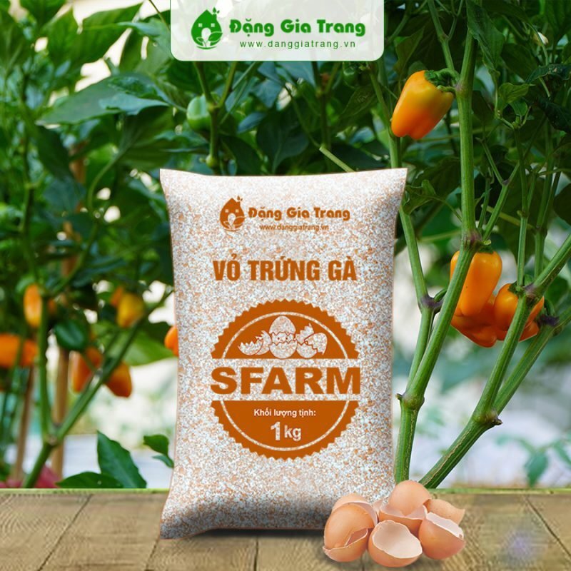 Vỏ Trứng Nghiền Bổ Sung Canxi cho cây và chống ốc sên gói 1kg 3