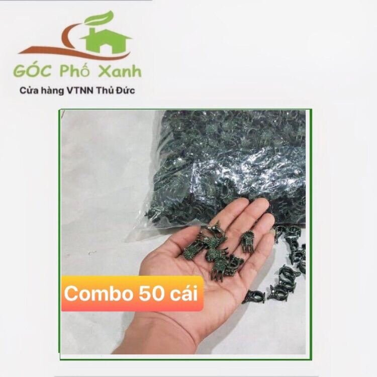 Kẹp lan 50 cái - Kẹp lan hình bướm