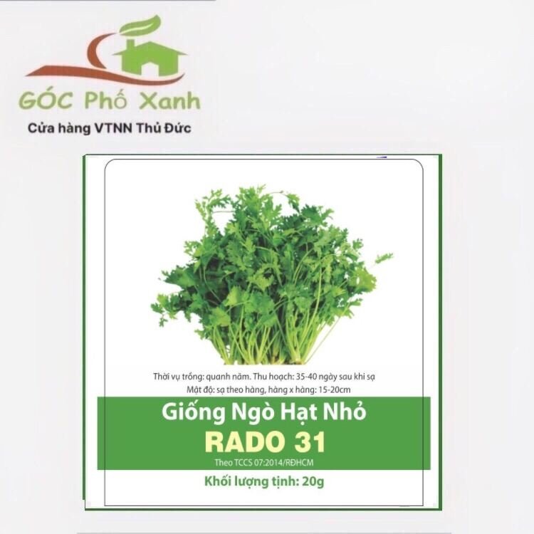 Hạt giống ngò