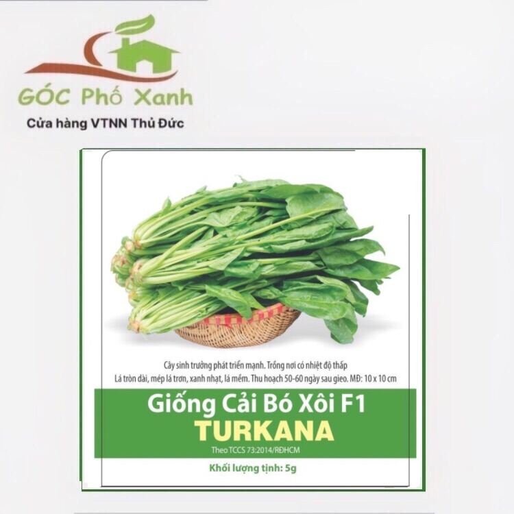 Hạt giống cải bó xôi - rau chân vịt