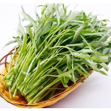 Hạt giống rau muống lá tre gói 50gram 3