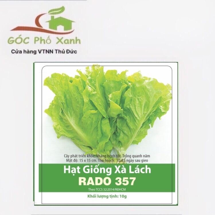 Hạt giống xà lách