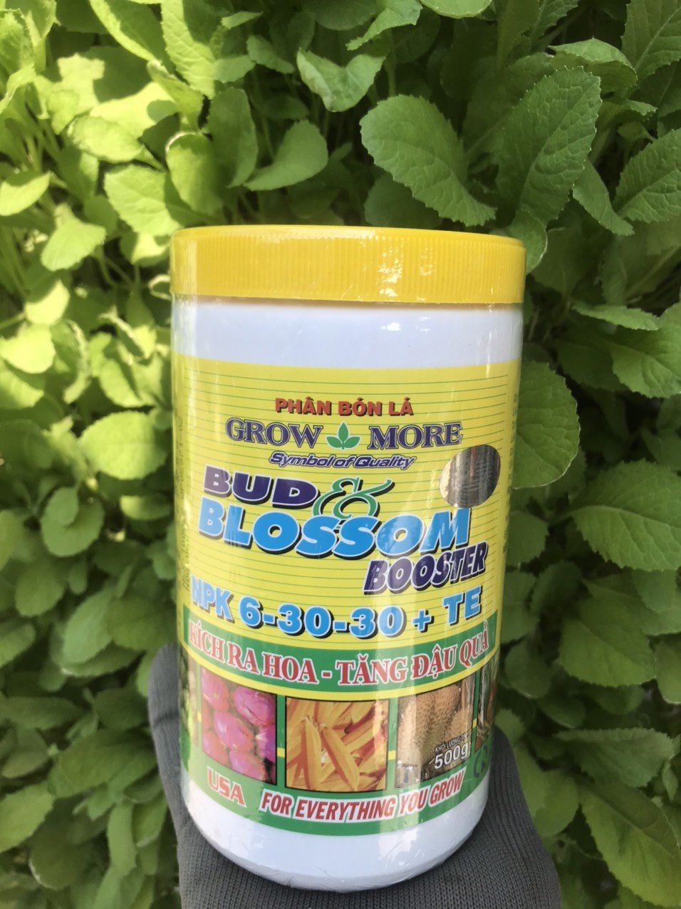 Phân NPK 6 30 30+TE  Growmore 2