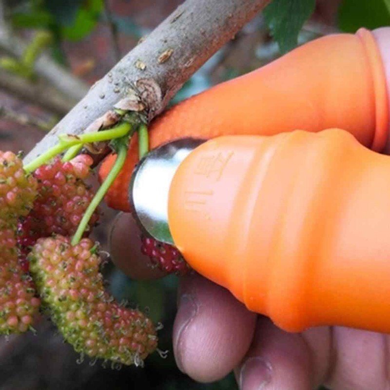 Bộ móng tay ngắt rau, hái rau thu hoạch mùa màng, bảo vệ ngón tay 3