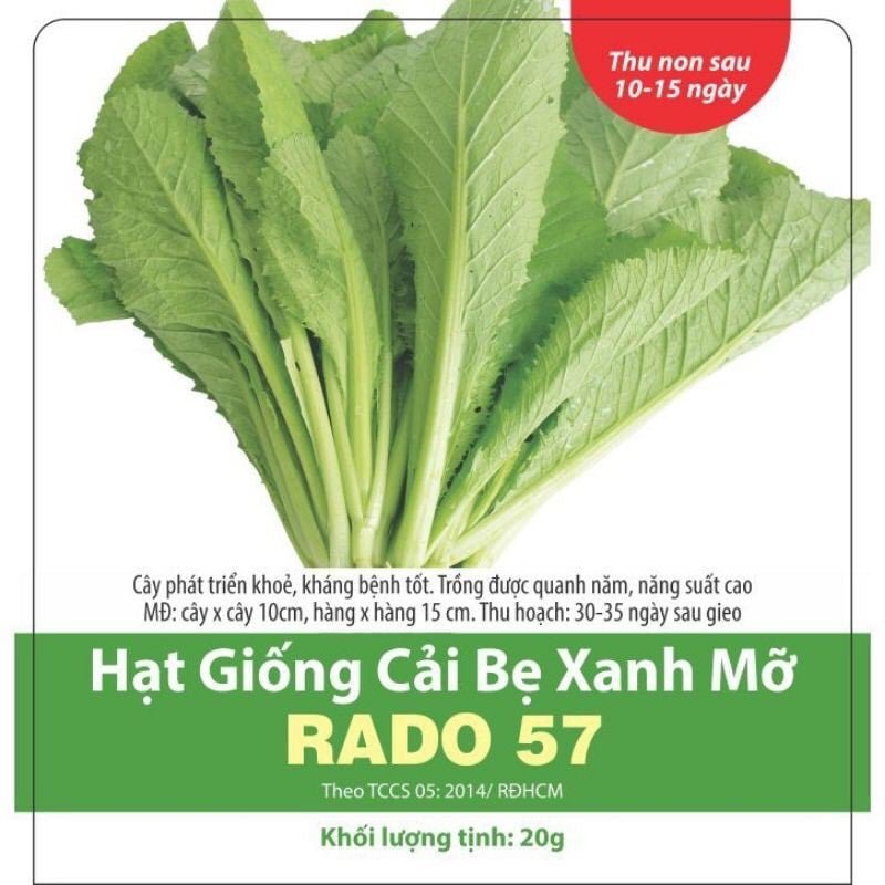 Hạt giống cải bẹ xanh 2