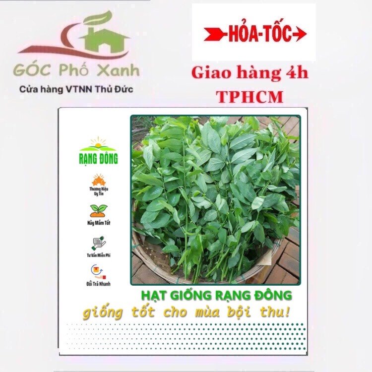 Hạt giống rau ngót gói 1gam