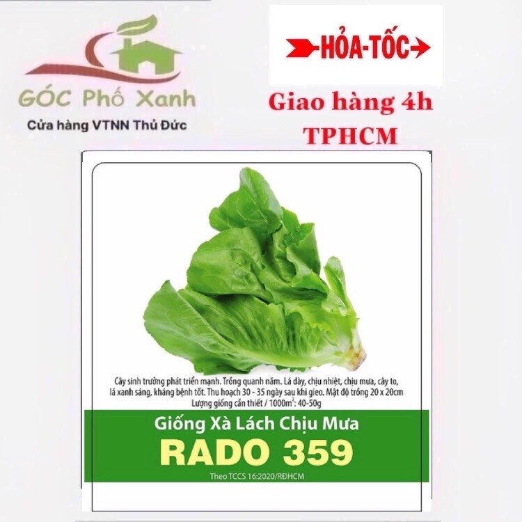 Hạt giống xà lách chịu mưa Rado 359