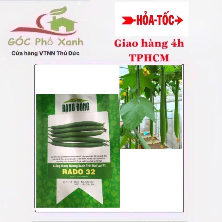 Hạt giống mướp hương 1Gam