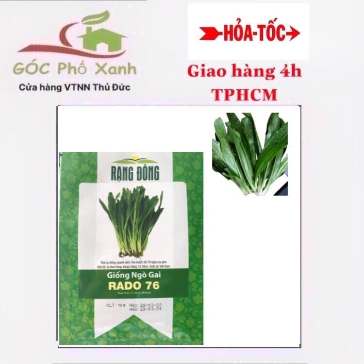 Hạt giống ngò gai