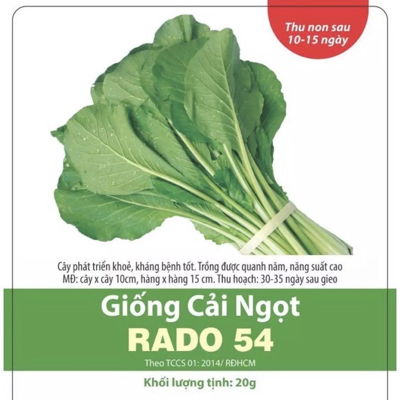Hạt giống cải ngọt Rạng Đông