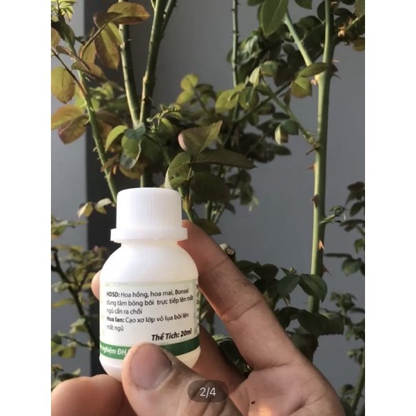 Siêu kích mầm B377 chai 20ml 2