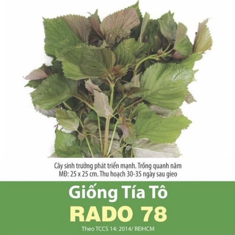 Hạt giống tía tô Rạng Đông