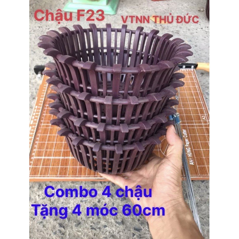 Combo 4 chậu trồng lan F23 tặng kèm 4 móc