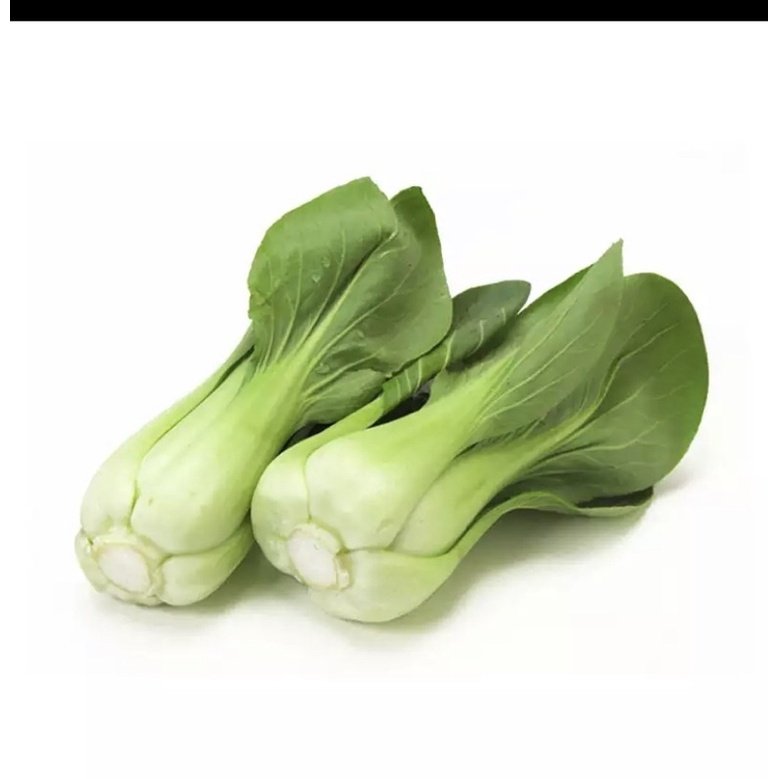 Hạt giống cải thìa 2
