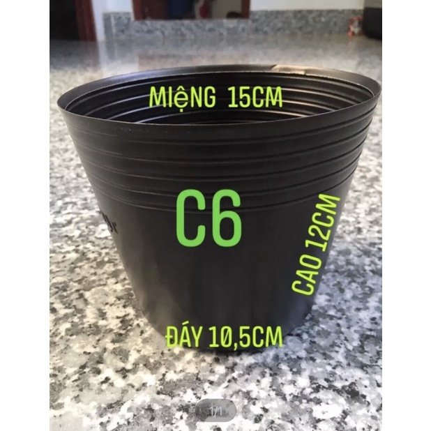 Chậu nhựa trồng cây c6 combo 50 cái