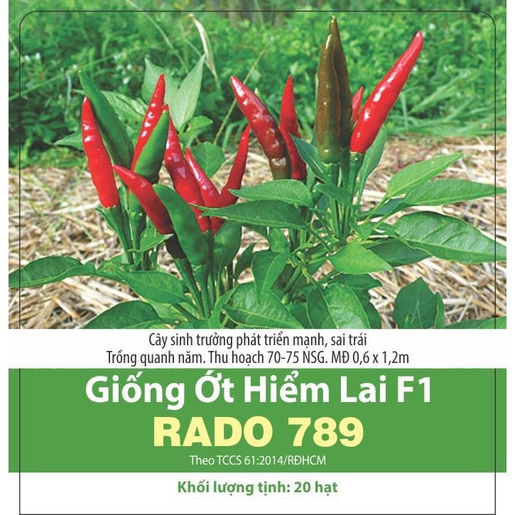 Hạt giống ớt hiểm F1 2