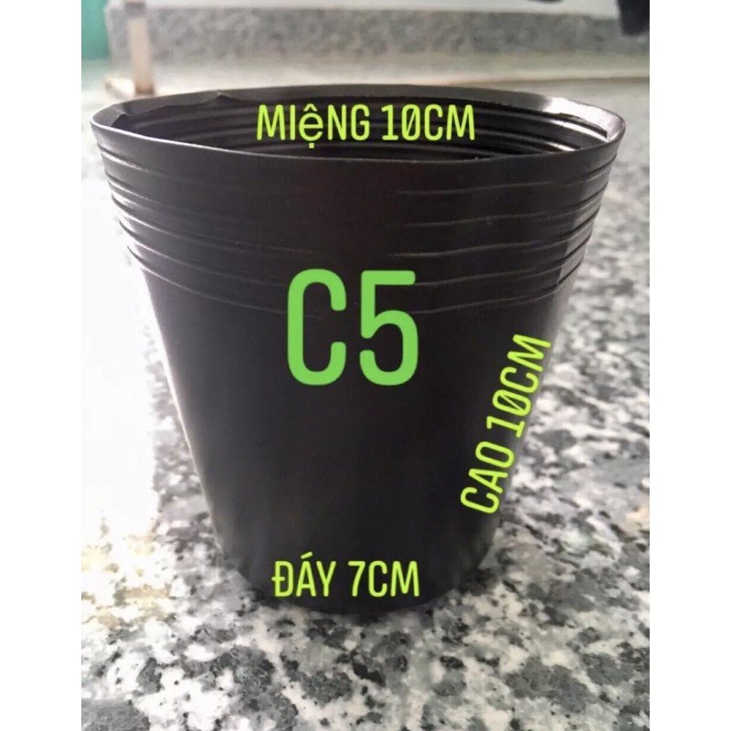 Chậu nhựa trồng cây C5 (1 cái)