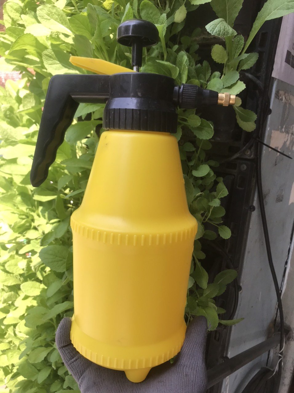 Bình xịt Dudaco 2lit 3