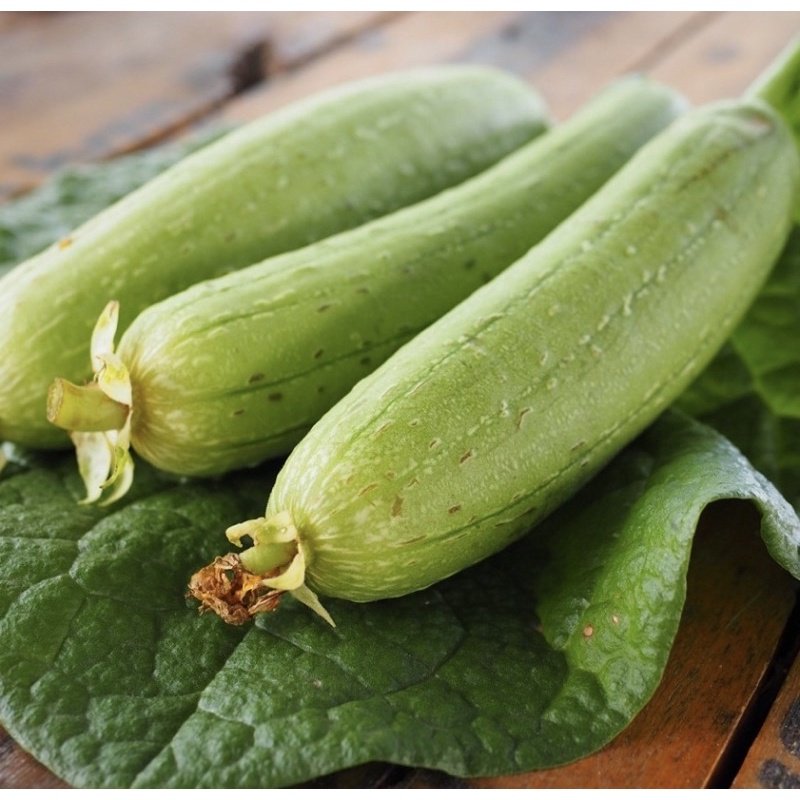 Hạt giống mướp hương 2