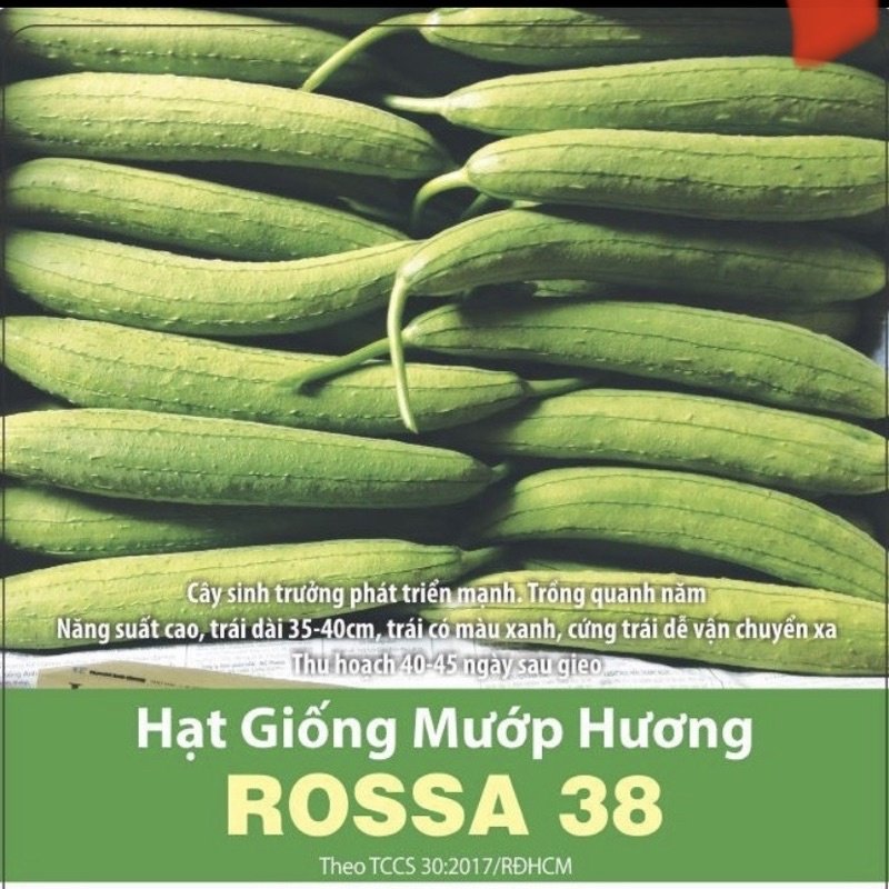 Hạt giống mướp hương