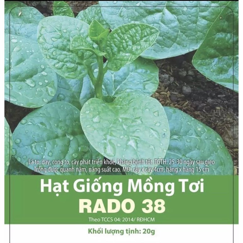 Hạt giống mồng tơi