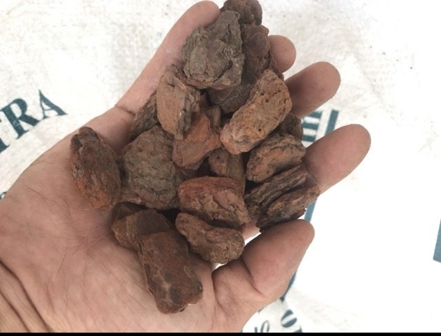 Vỏ thông trồng lan gói 1kg 2