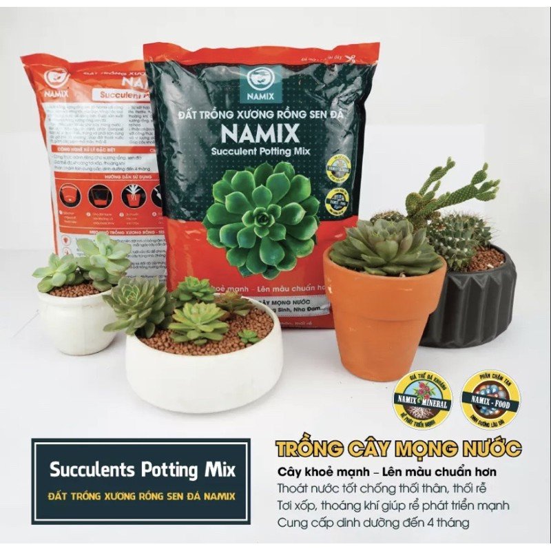 Đất trồng xương rồng sen đá Namix 5dm3 (2,5kg) 2