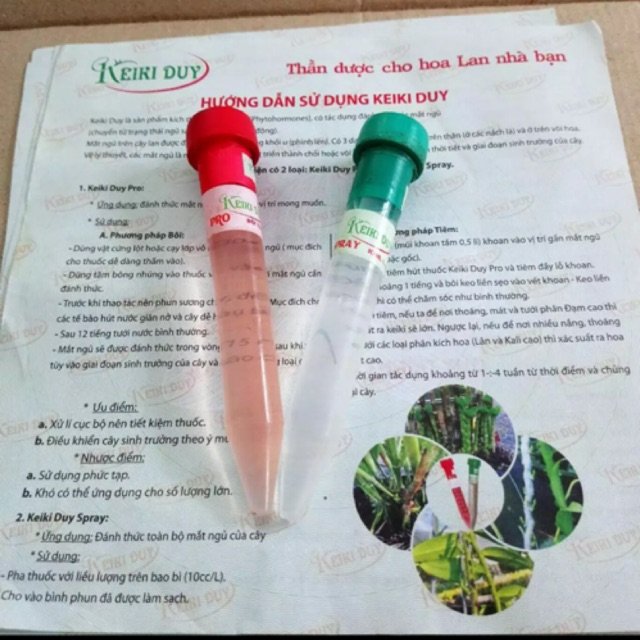 Keiki duy pro xanh đỏ. Kích Chồi và hoa