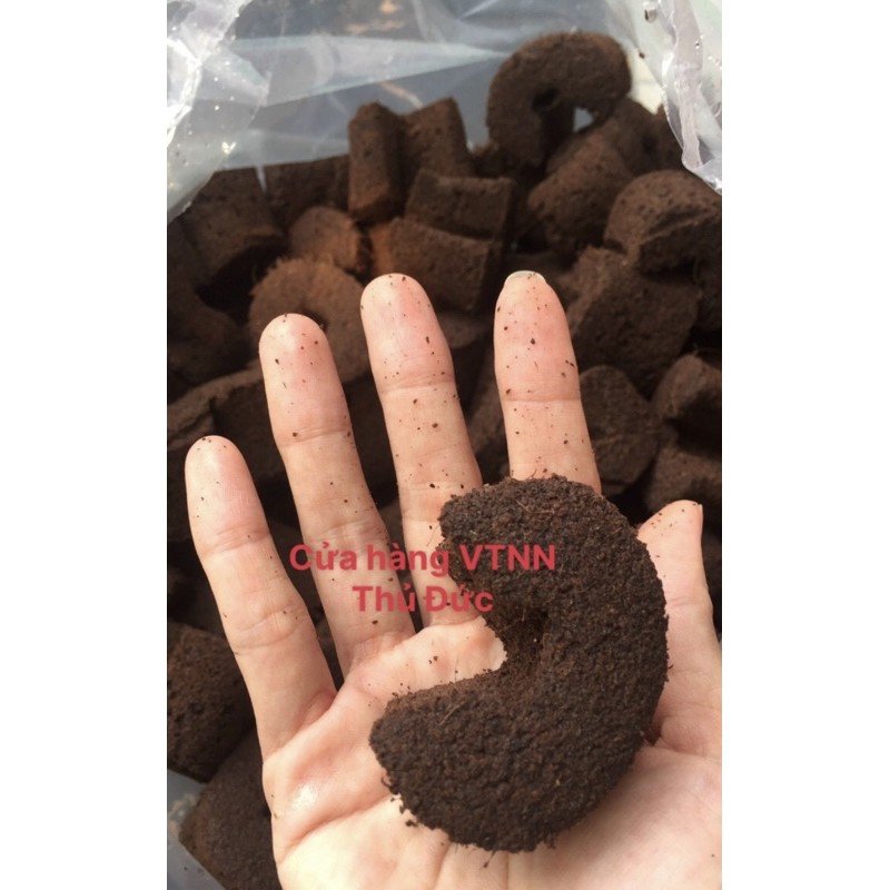 Mút hữu cơ ươm kie combo 2 miếng 2