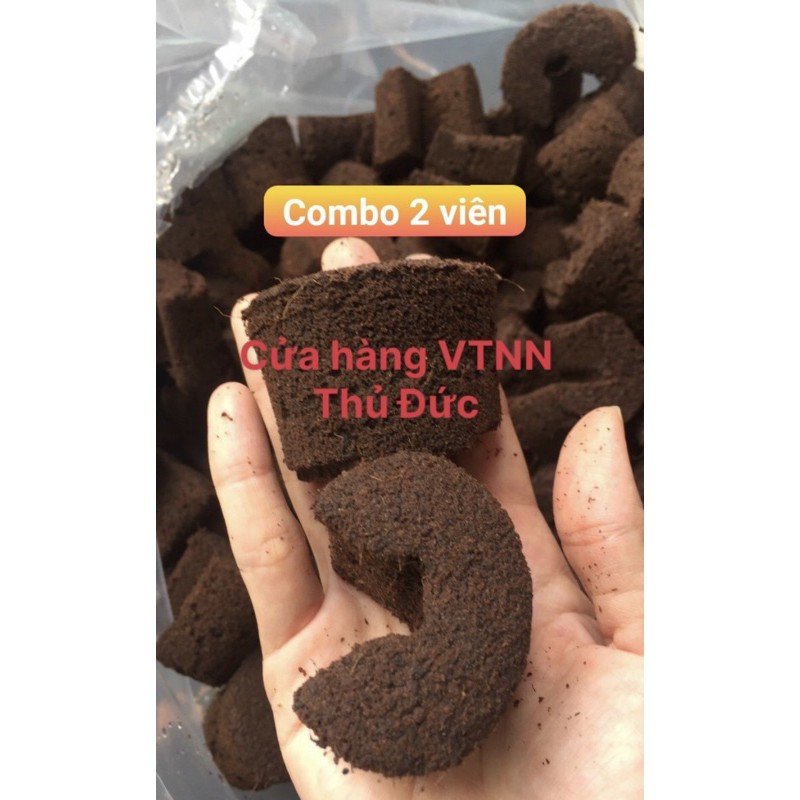 Mút hữu cơ ươm kie combo 2 miếng