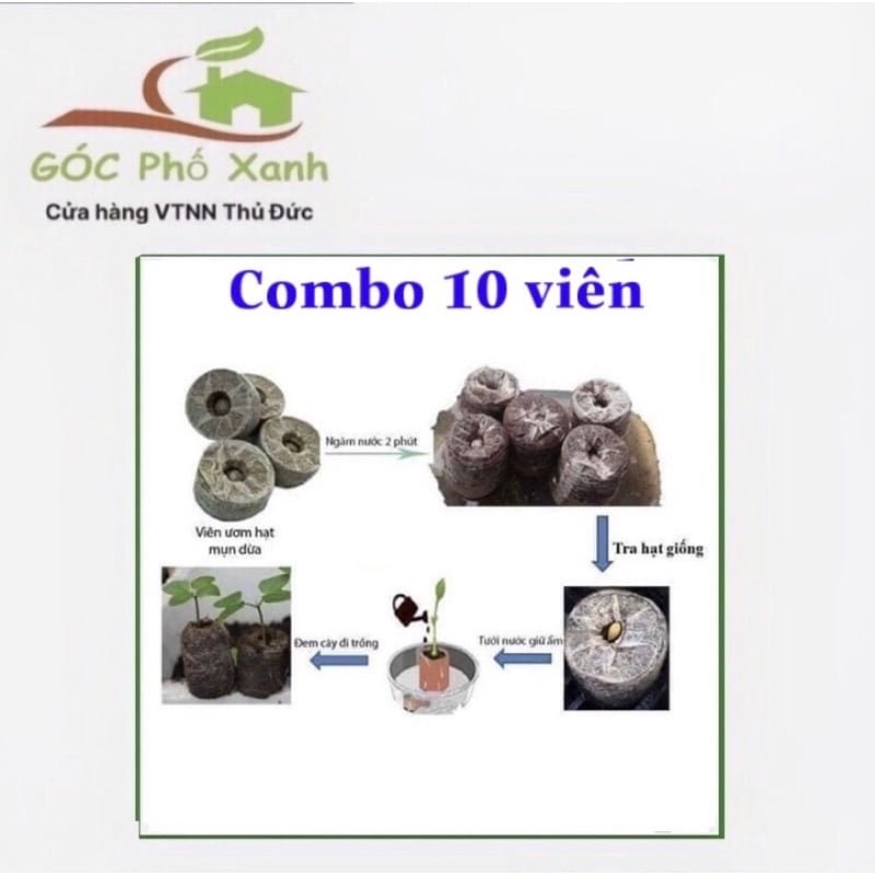 Combo 10 viên nén xơ dừa