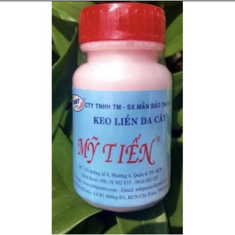 Keo liền da cây Mỹ Tiến 100g 2