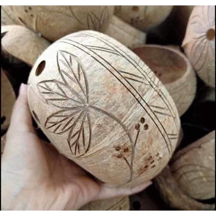 GÁO DỪA TRỒNG LAN TRỒNG CÂY CẢNH 2