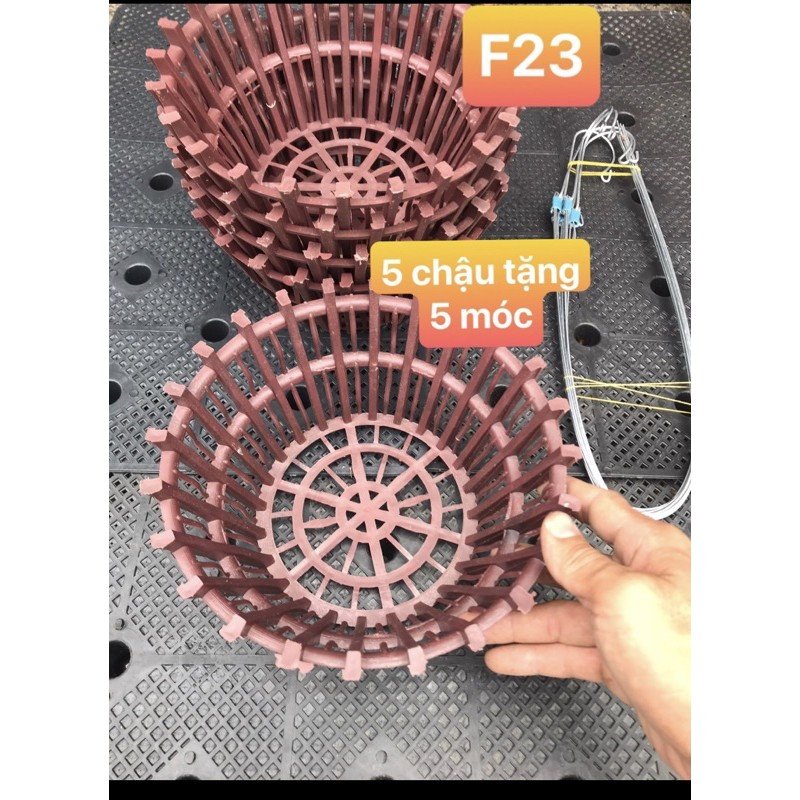 Chậu trồng lan nhựa tròn F23. Combo 5 cái tặng 5 móc