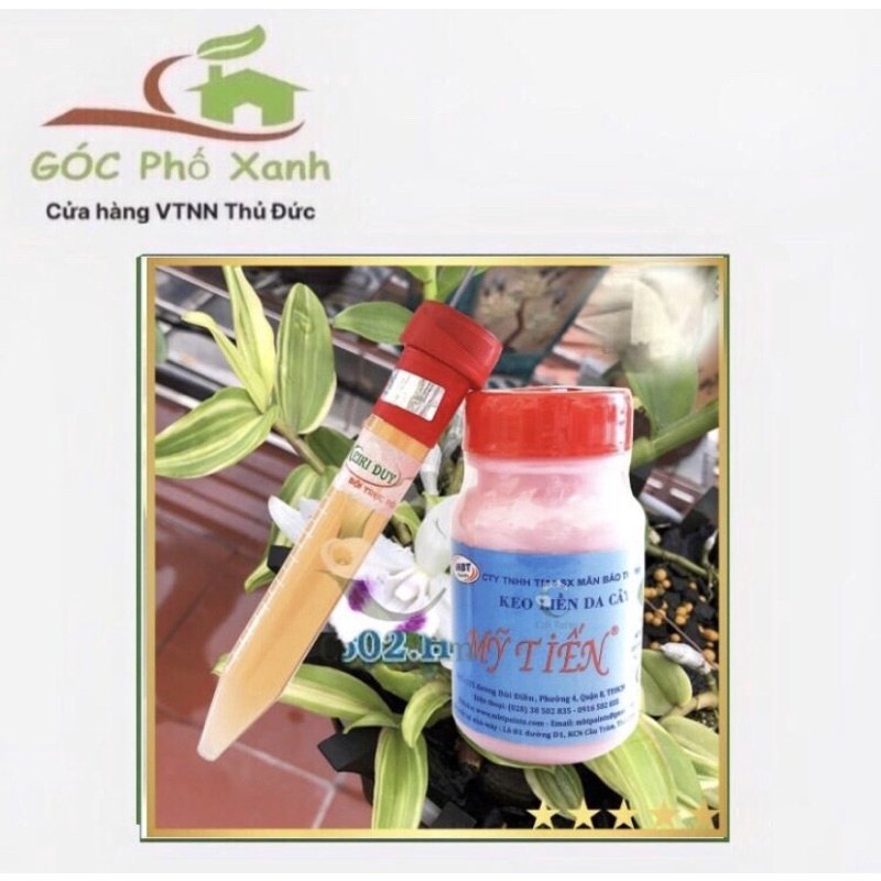 Combo keiki đỏ , keo liền da Mỹ Tiến