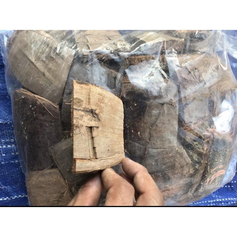 Xơ dừa miếng trồng lan 2