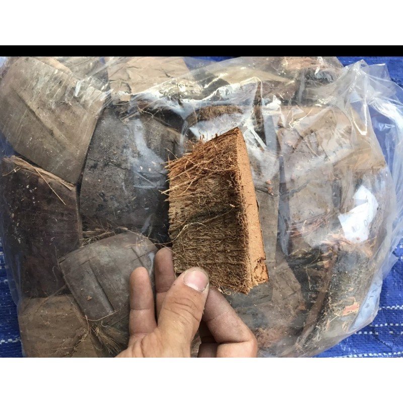 Xơ dừa miếng trồng lan 3