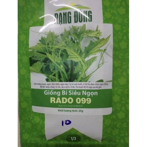 Hạt giống bí ăn ngọn Rạng Đông