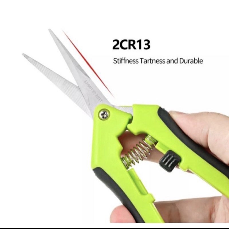 Kéo cắt cành, D15,5xR4,5cm, inox, mũi nhọn, màu xanh, siêu bén, không gỉ, có khoá an toàn 2