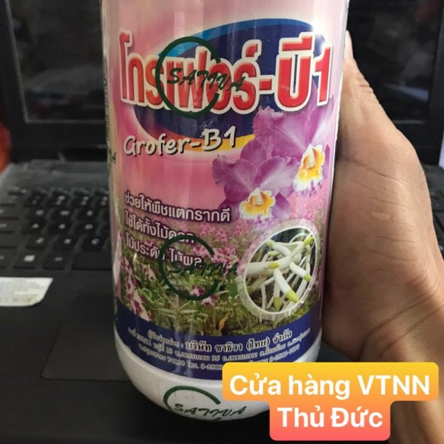 Vitamin B1