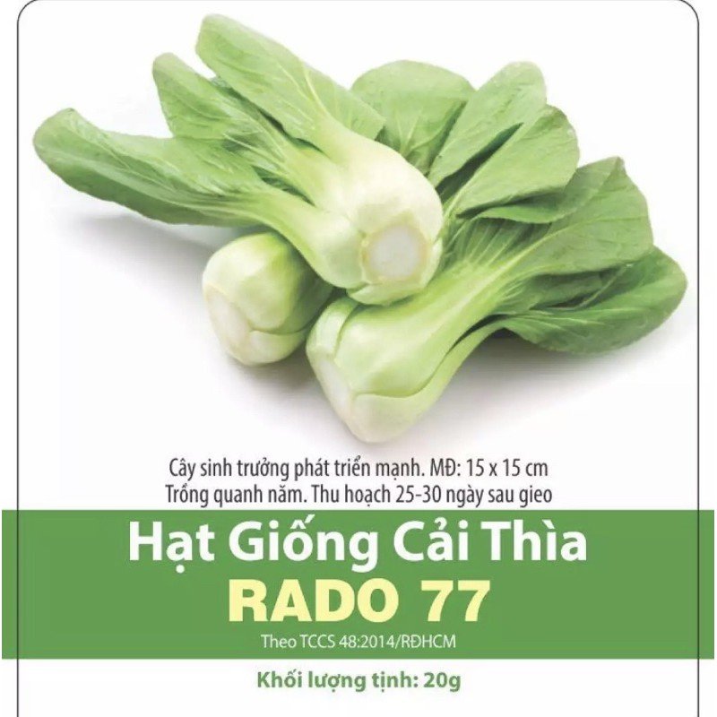 Hạt giống cải thìa Rado 77