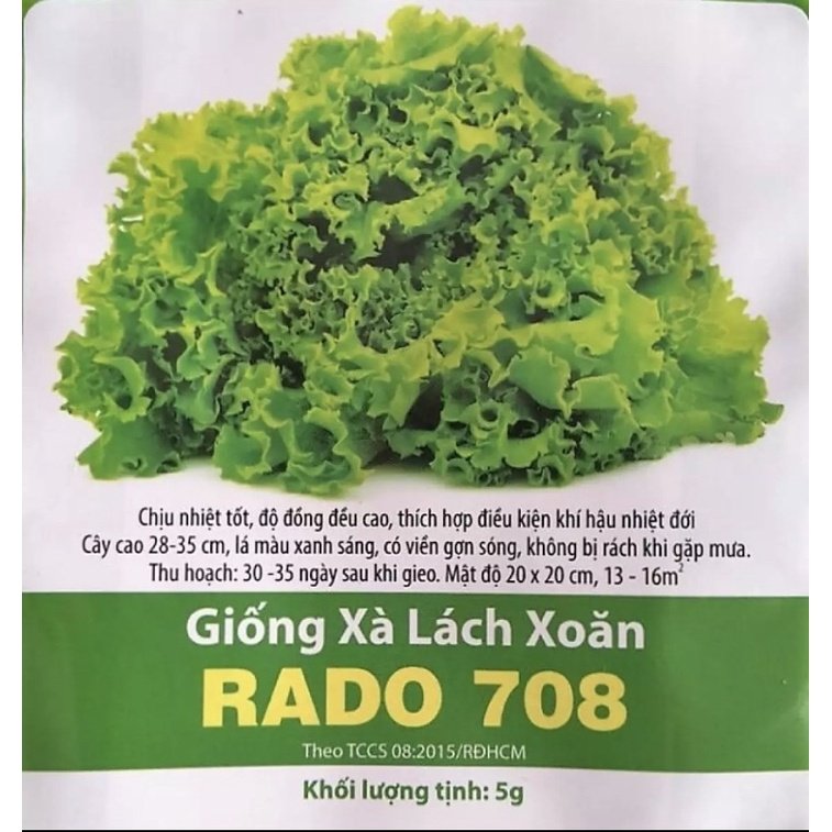 Hạt giống xà lách xoăn