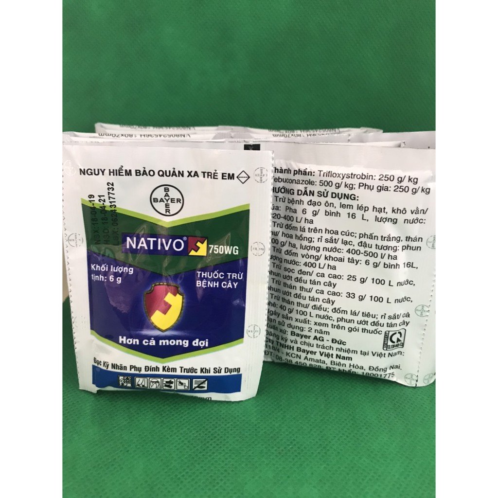 Thuốc trừ nấm rỉ sắt NATIVO 750WG 3