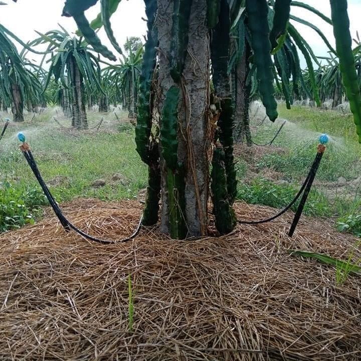 Đầu vòi tưới phun tia (tưới tại gốc) VibroNet SD 30l/h (10 cái/gói) 3