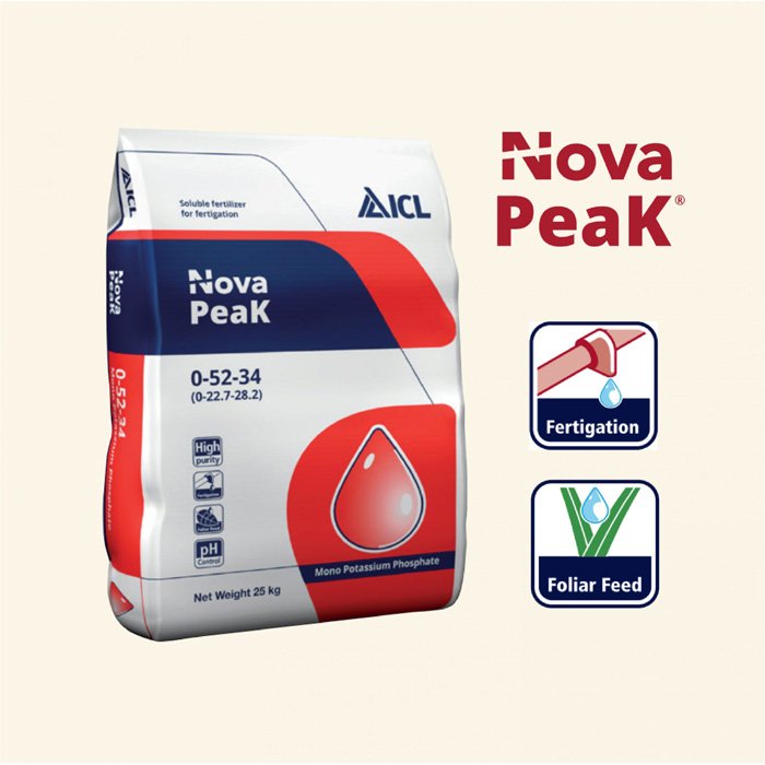 Phân bón Nova Peak 0-52-34 (MKP) (25kg/bao) – ICL 2