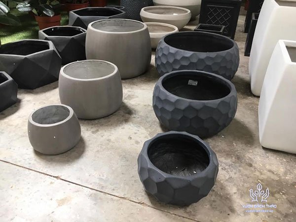 Chậu Đá Mài Gáo Dừa Kim Cương 3