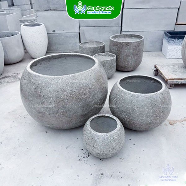 Chậu Xi Măng Đá Mài Gáo Dừa 2
