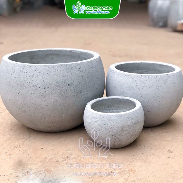 Chậu Xi Măng Đá Mài Gáo Dừa 3